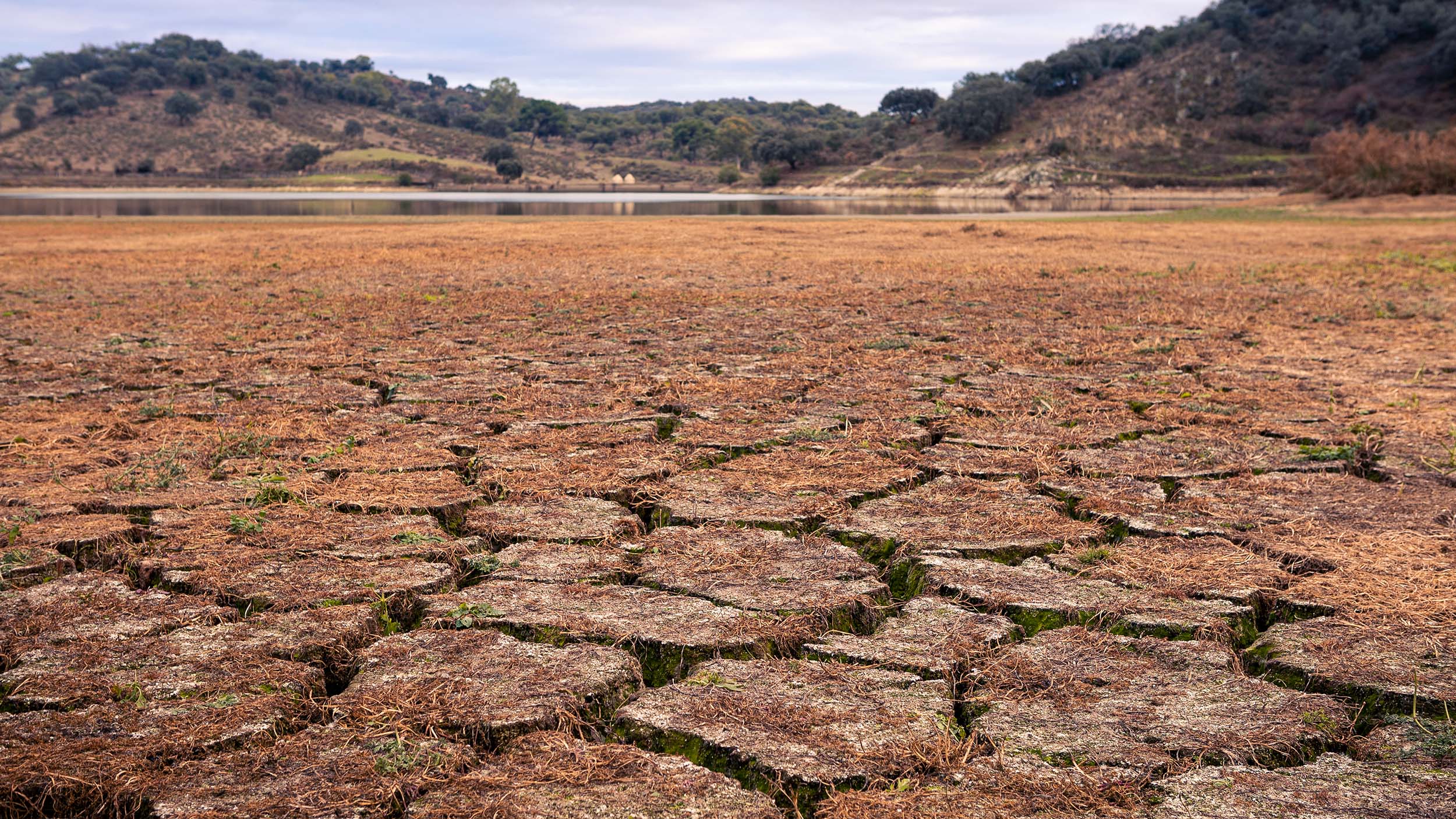 El Niño producing dry cracked land
