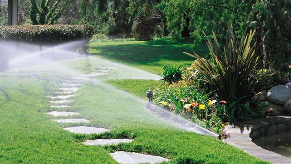 Keep Your Lawn & Garden Alive This Summer